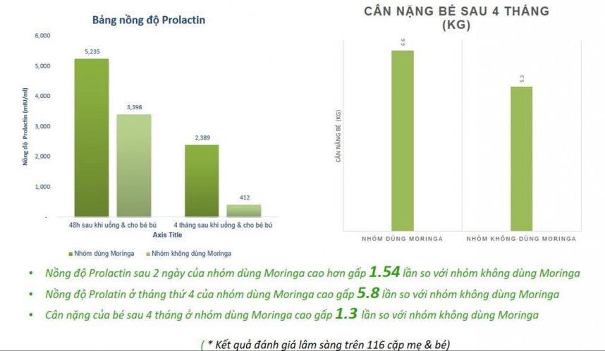 Nghiên cứu lâm sàng về tác dụng lợi sữa của chùm ngây.